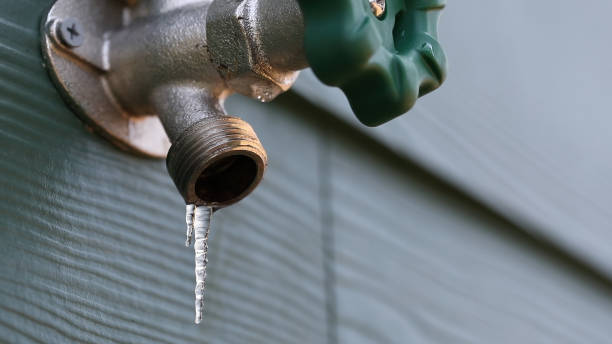 Best Commercial Plumbing Services  in Poinciana, FL