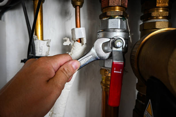 Best Residential Plumbing Services  in Poinciana, FL